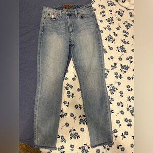 Joes high rise skinny ankle